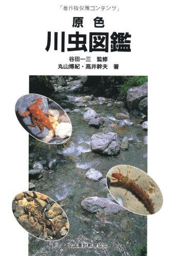 原色川虫図鑑