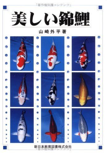 美しい錦鯉