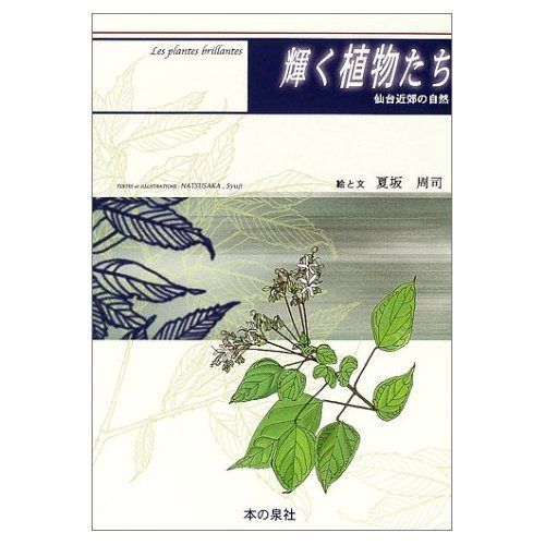 輝く植物たち: 仙台近郊の自然