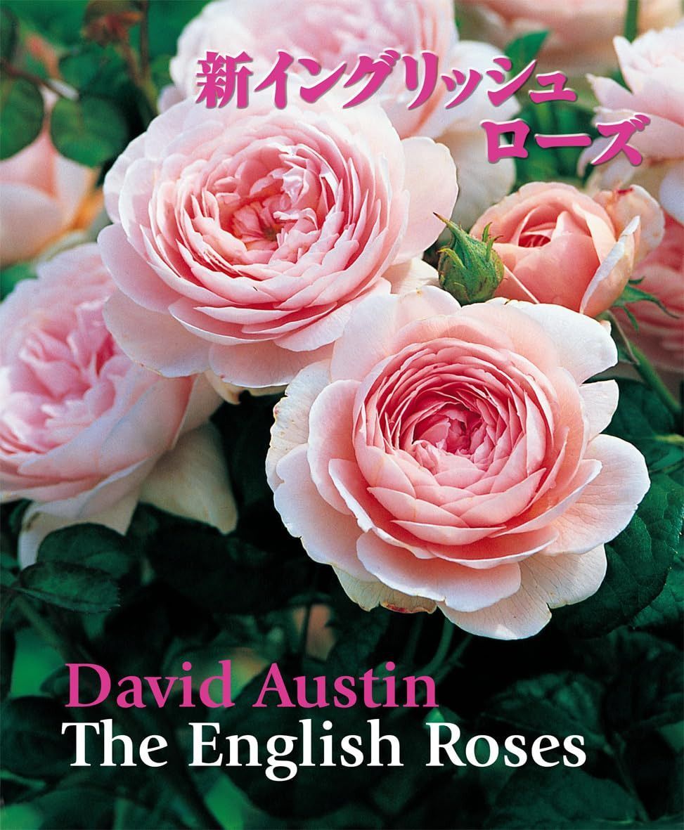 新イングリッシュローズ (GAIA BOOKS)