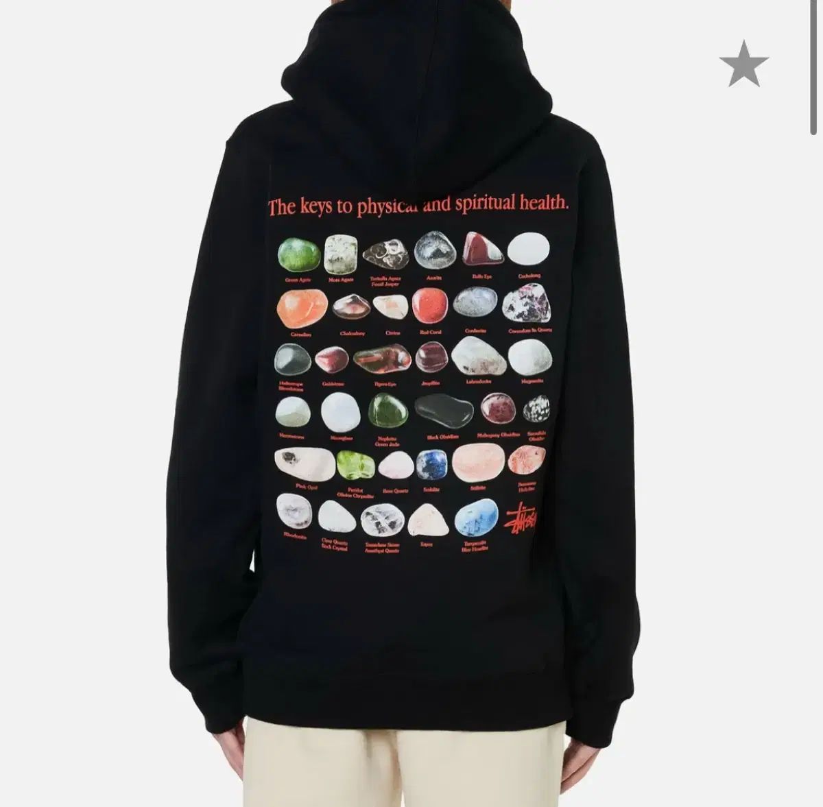 STUSSY ステューシー ストーン WHO ブラック Tシャツ