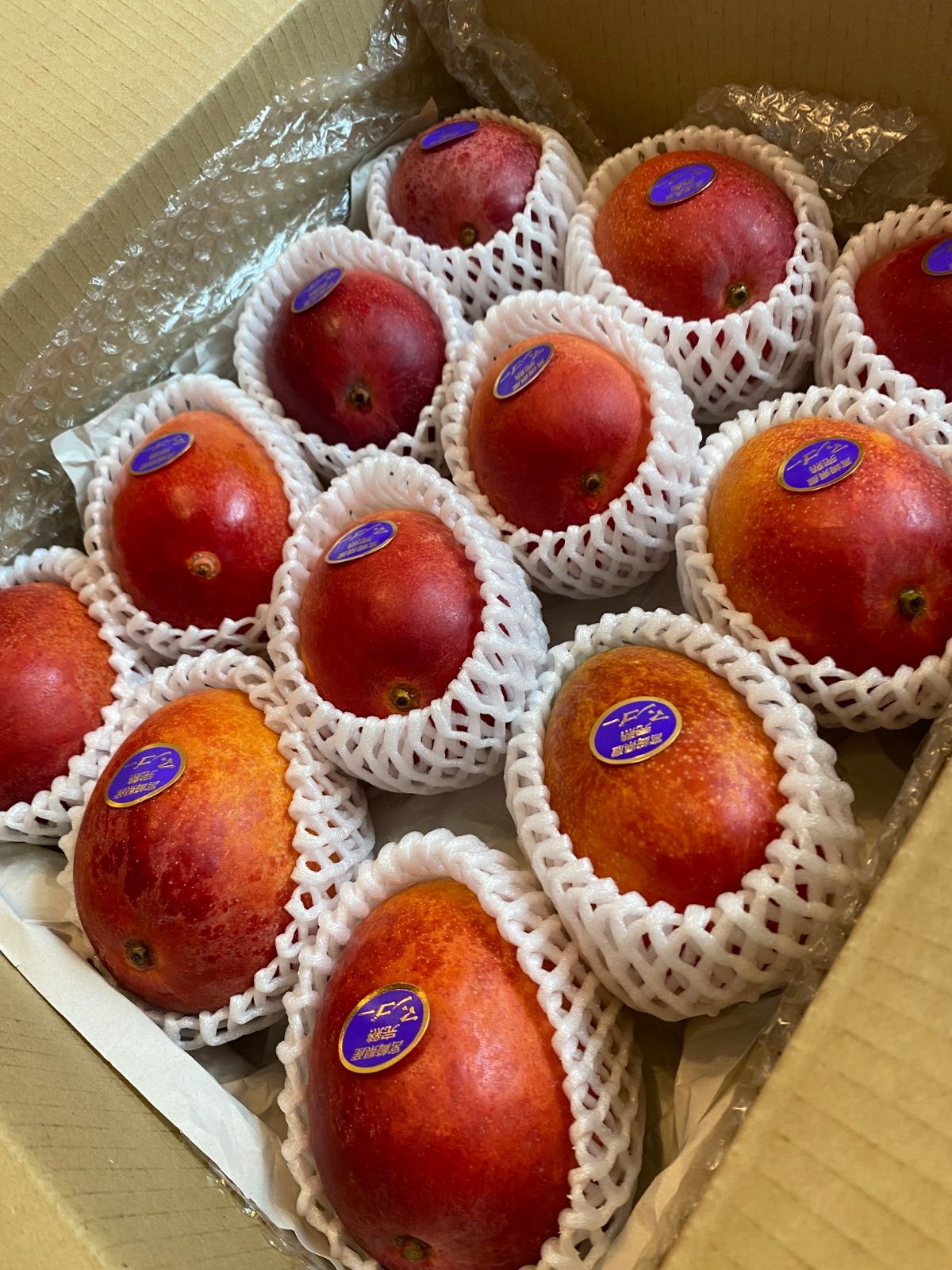 宮崎完熟マンゴー 家庭用 12玉 約3.2kg - メルカリ