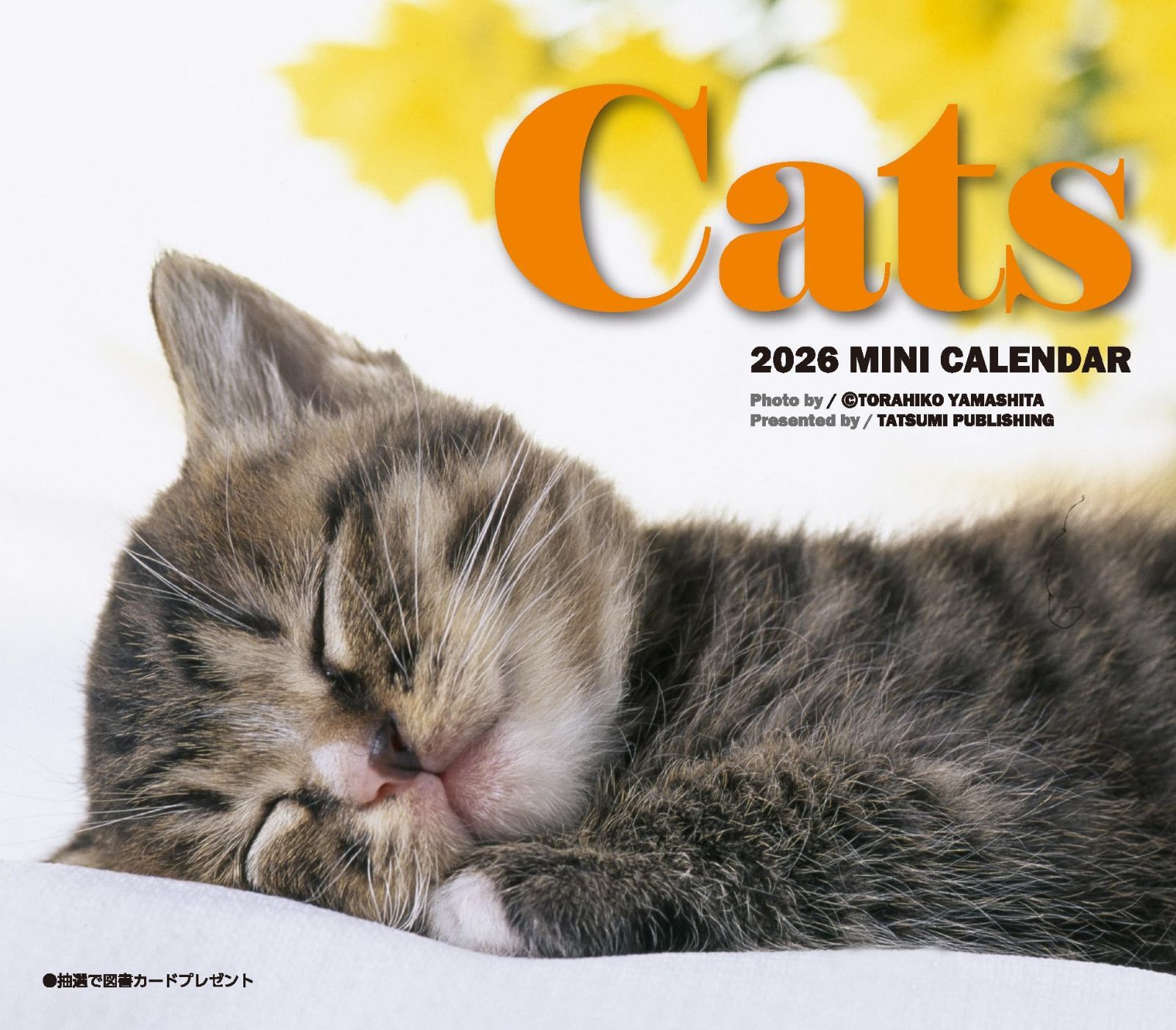 2026　ミニカレンダー　キャッツ