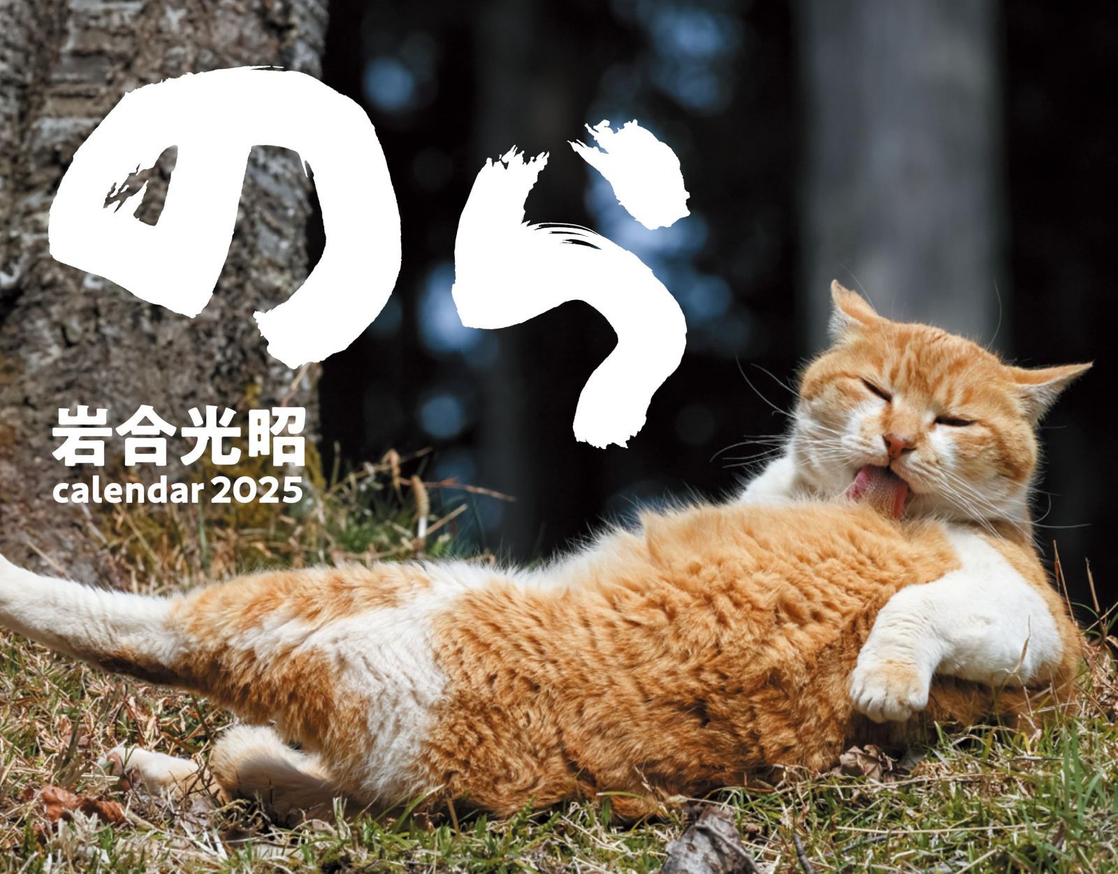 2025猫カレンダー　のら ([カレンダー])