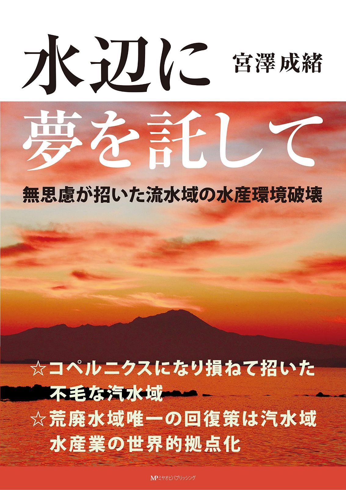 水辺に夢を託して 7,882円