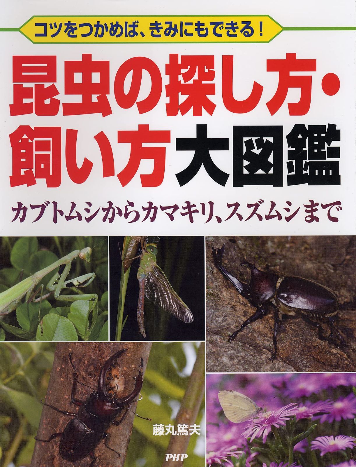 コツをつかめば、きみにもできる! 昆虫の探し方・飼い方大図鑑 カブトムシからカマキリ、スズムシまで