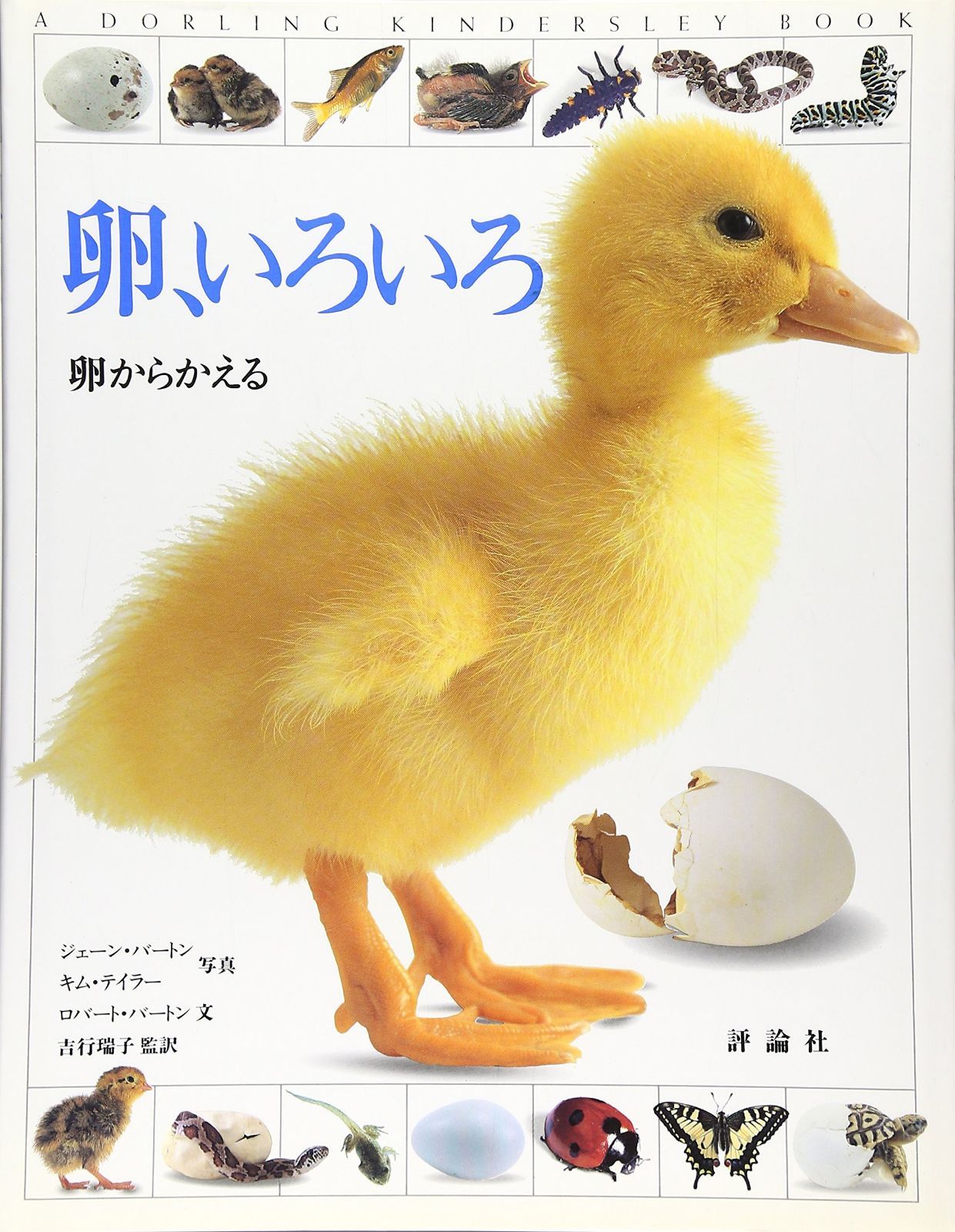 卵、いろいろ: 卵からかえる (評論社の児童図書館・科学の部屋 別巻)