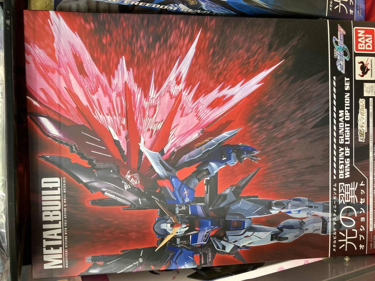 METAL BUILD デスティニｰガンダム 光の翼オプションセット 魂ウェブ