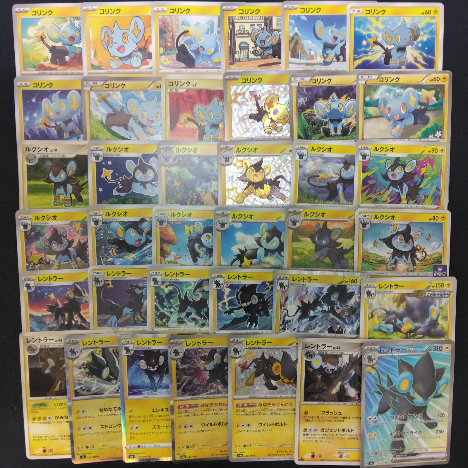 絵柄かぶりなし】コリンク ルクシオ レントラー まとめ売り pokemon
