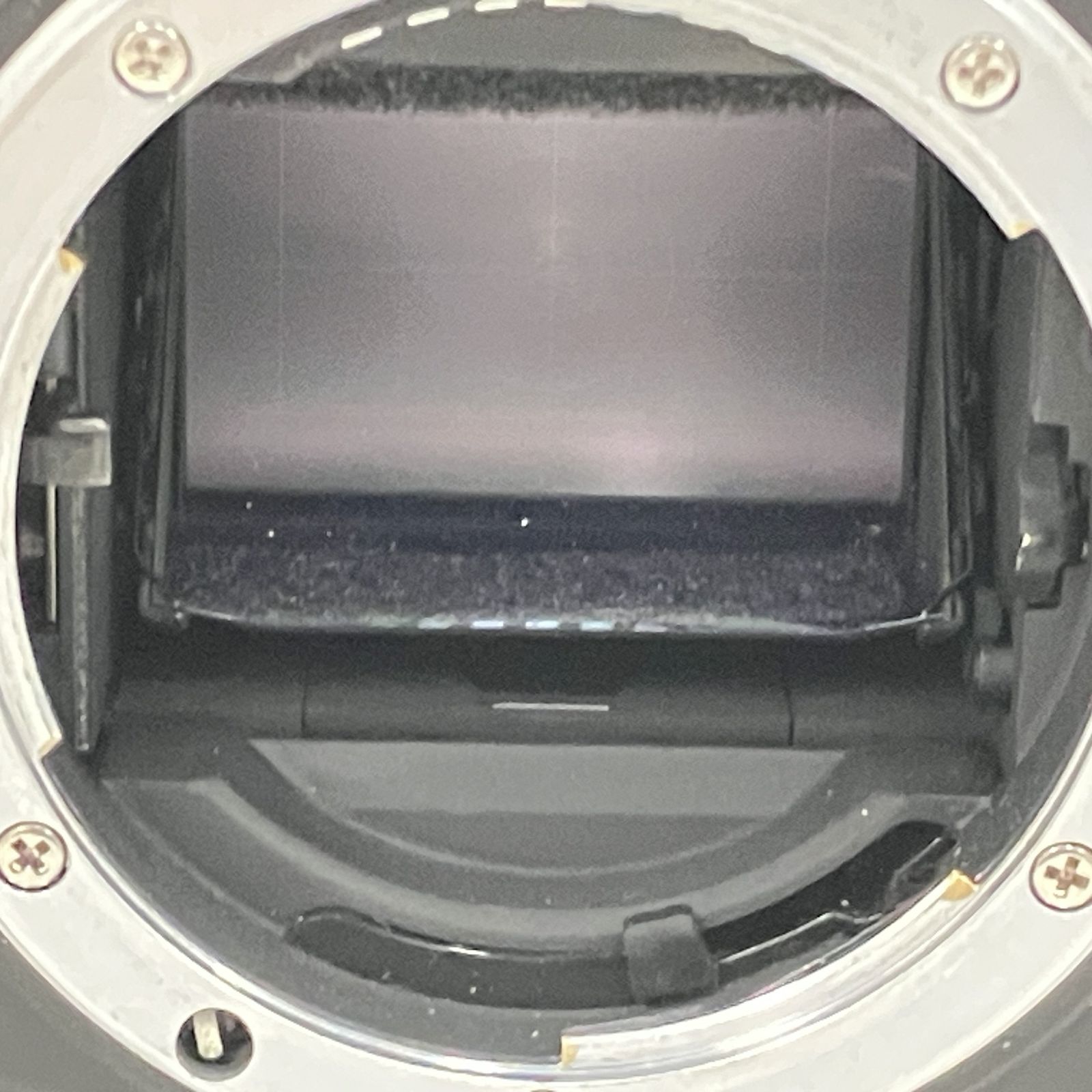 Nikon ニコン F4 MB-21 ニコン 一眼レフ フィルムカメラ ボディ