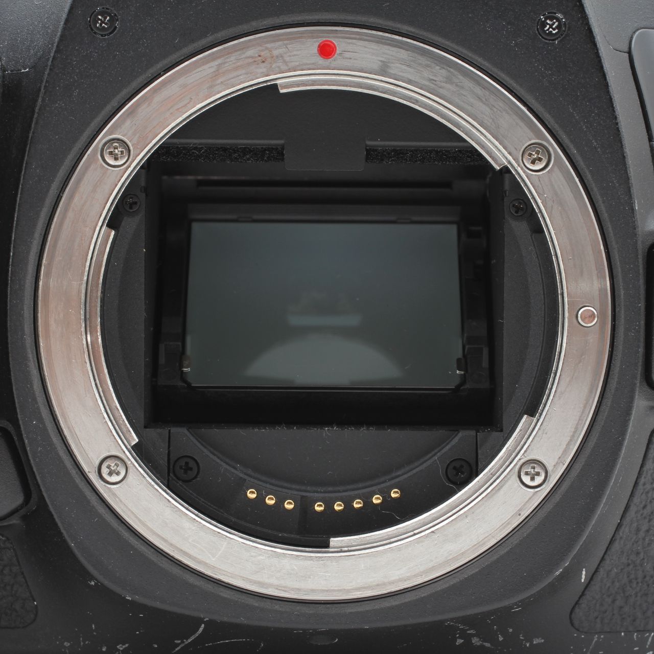 Canon EOS 5D Mark III ボディ デジタル一眼レフ フルサイズ 動作確認
