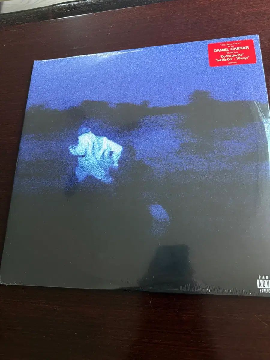 ダニエル(DANIELLE) シーザー( Daniel Caesar ） 3 家 アルバム ' Never Enough LP