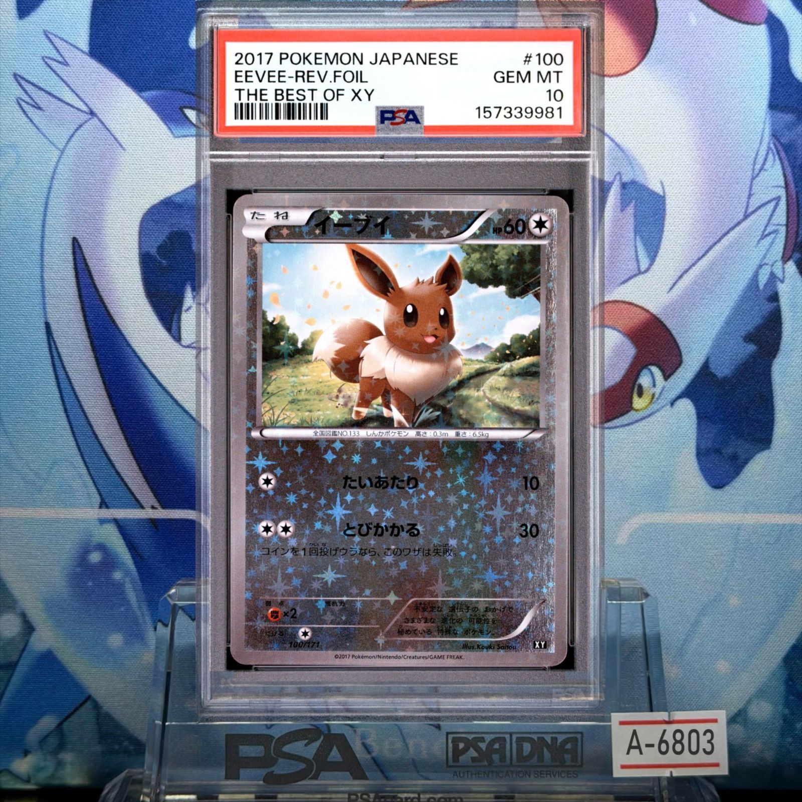 PSA10 イーブイ CP XY THE BEST OF XY ミラー 100 2017 A-6803 - メルカリ