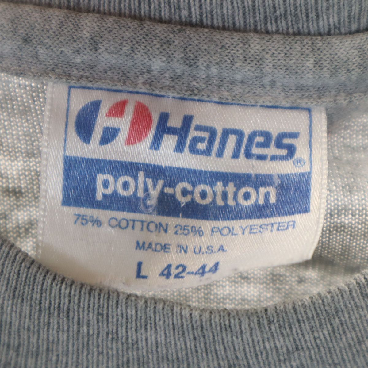 GOODENOUGH グッドイナフ 90s USA製 Hanesボディ オールド 半袖 T