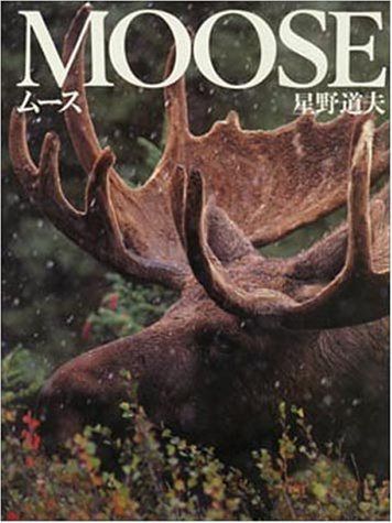 ムース