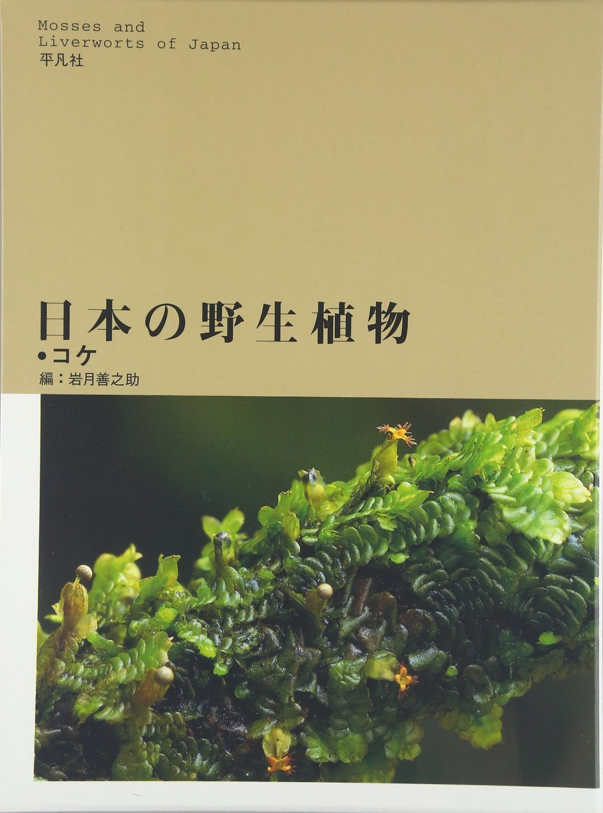 日本の野生植物 コケ