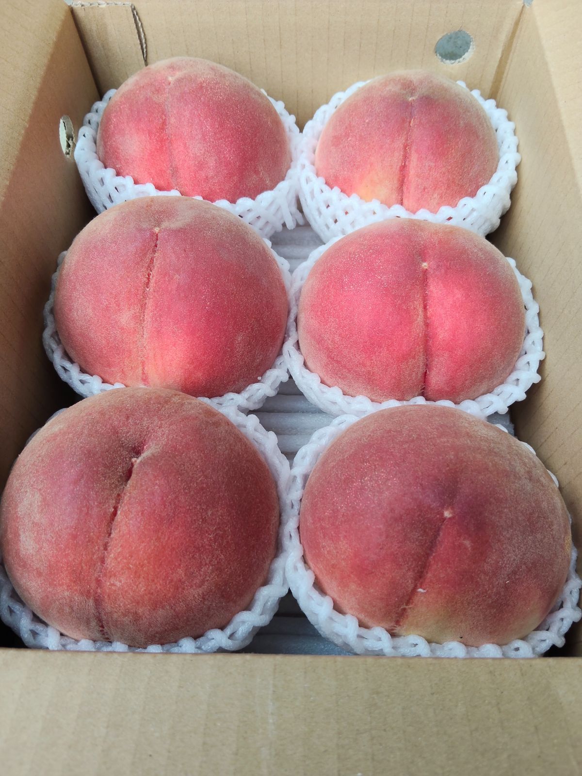 山梨一宮の川中島白桃とたの品種重ねて発送 クール便 スーパー