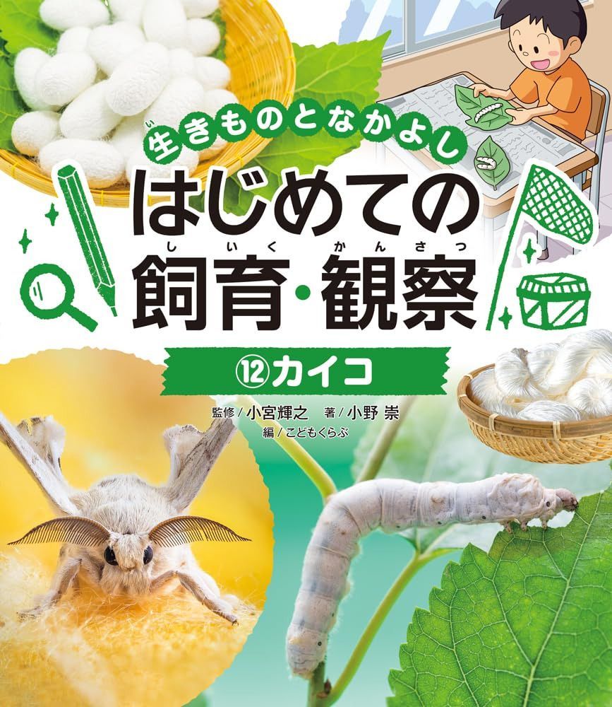 カイコ (生きものとなかよしはじめての飼育・観察 12)