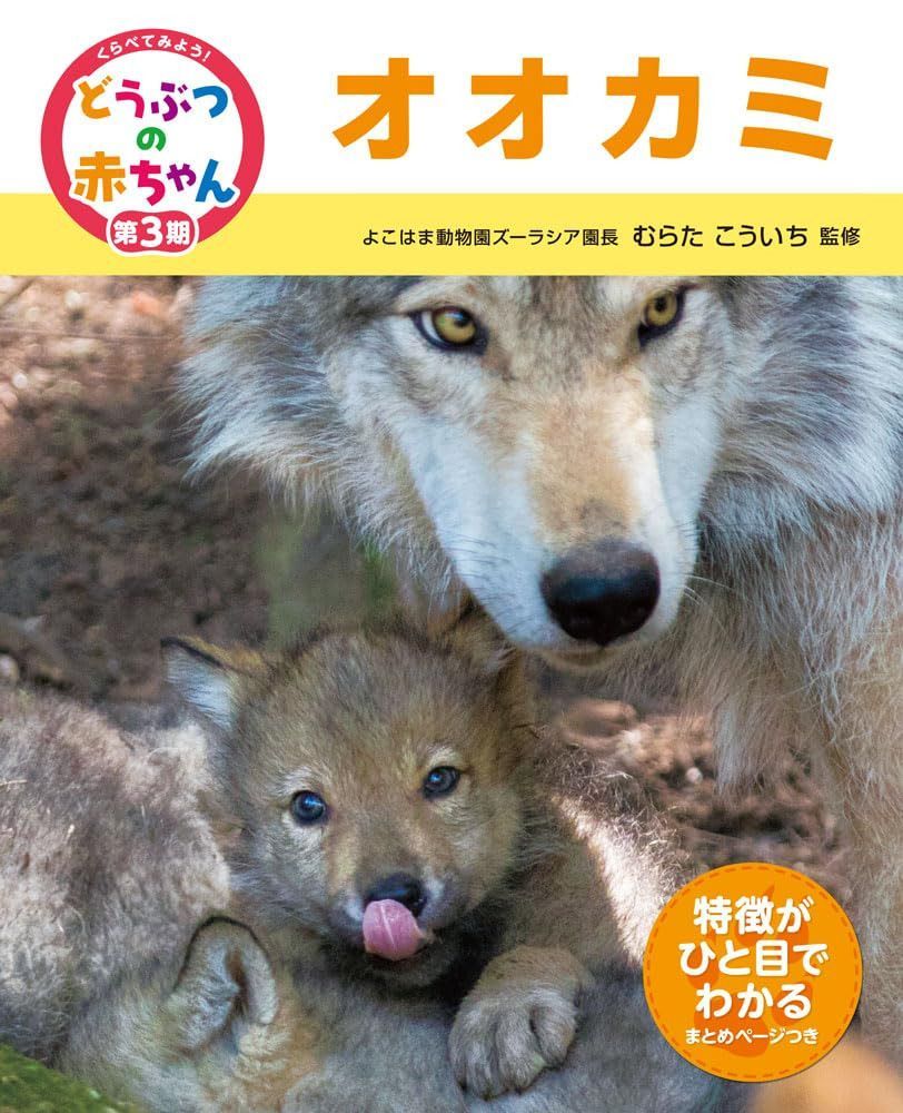 オオカミ
