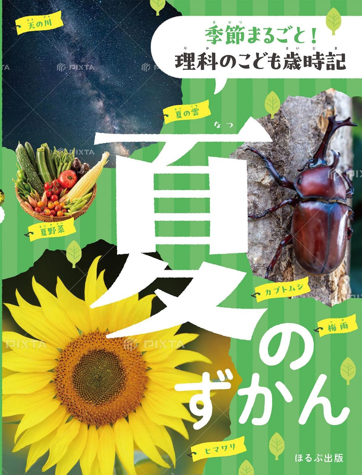 夏のずかん (季節まるごと!理科のこども歳時記)