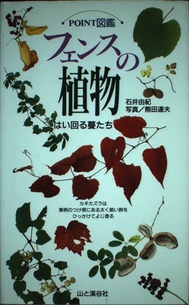 フェンスの植物: はい回る蔓たち (POINT図鑑)
