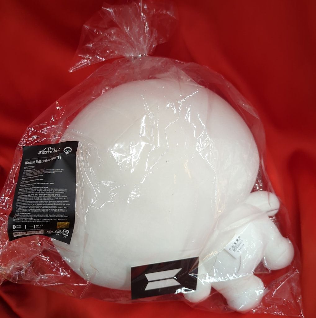 BTS The Astronaut JIN WOOTTEO DOLL CUSHION - メルカリ