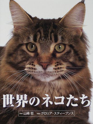 世界のネコたち