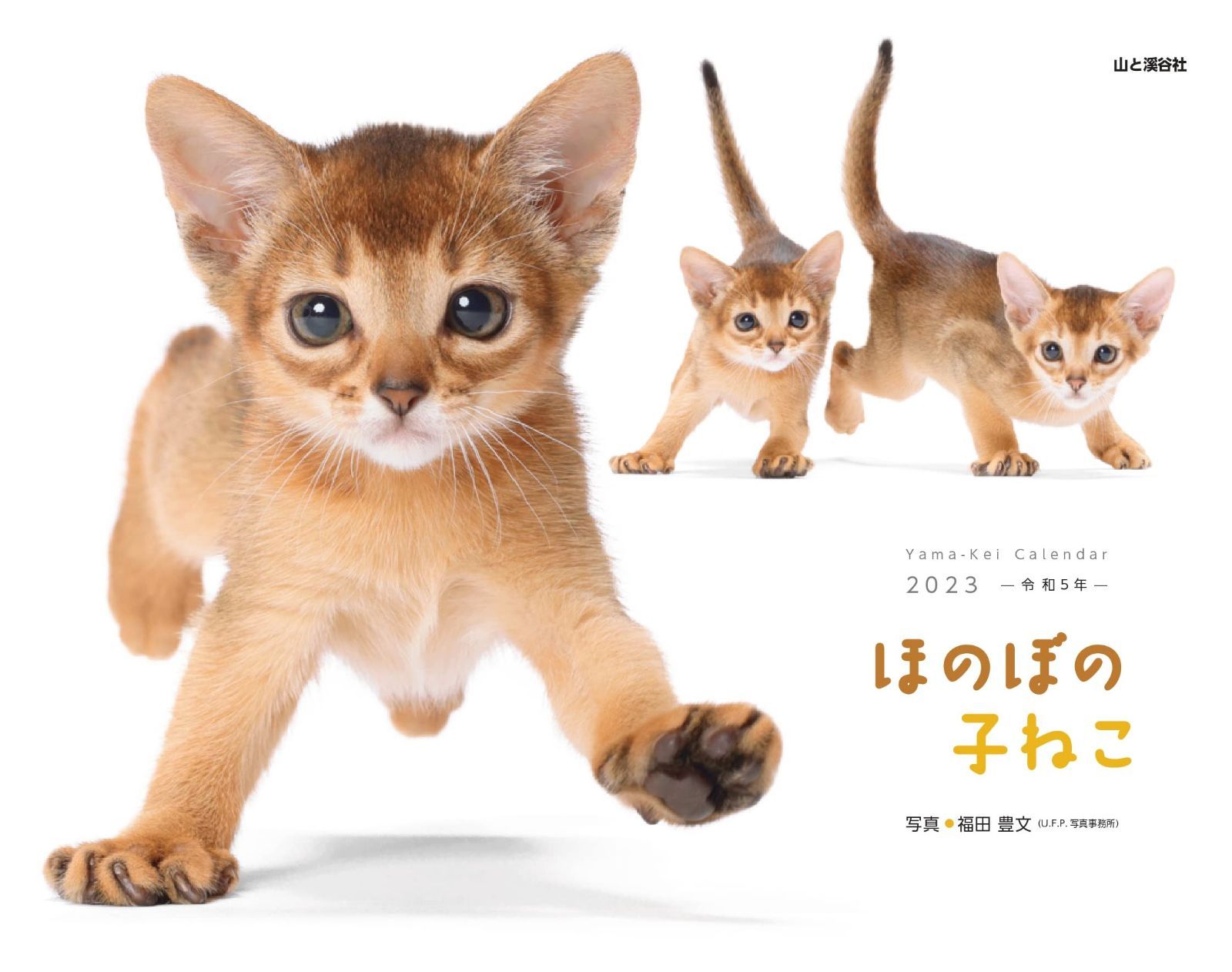 カレンダー2023 ほのぼの子ねこ (月めくり/壁掛け) (ヤマケイカレンダー2023)