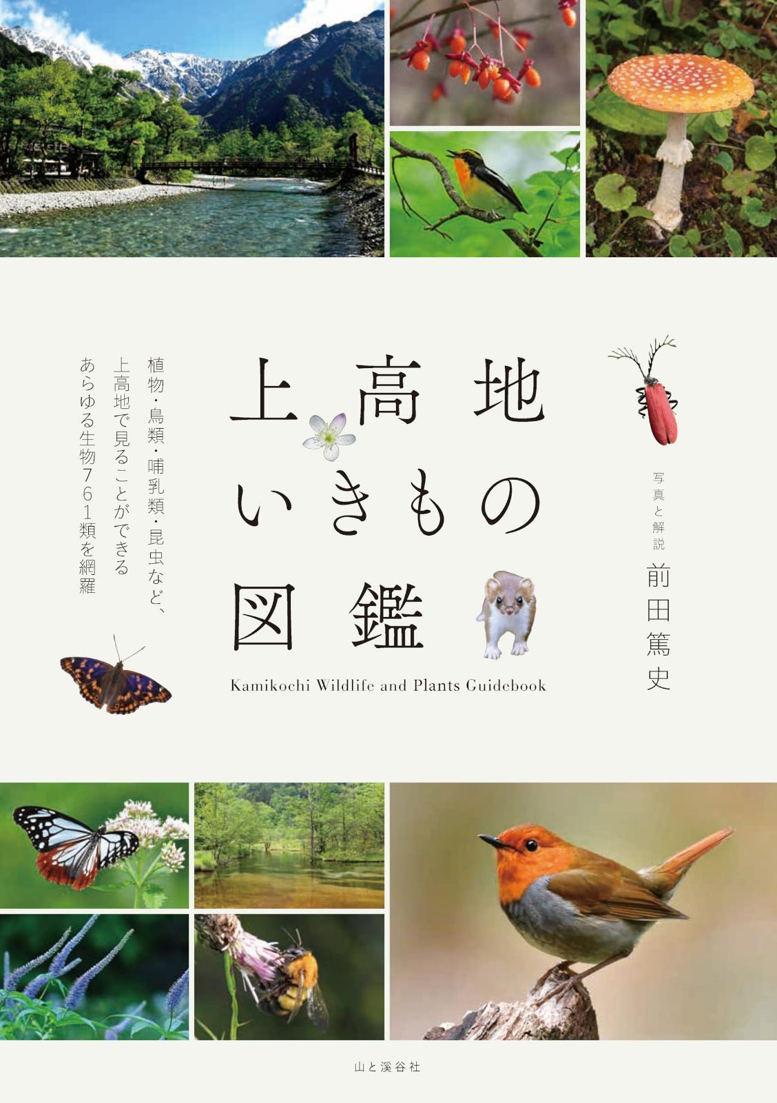 上高地いきもの図鑑 7,138円