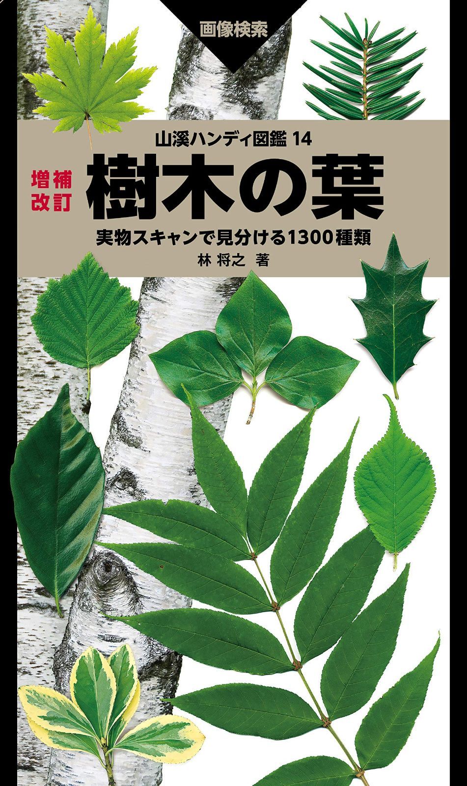 山溪ハンディ図鑑 14 増補改訂 樹木の葉 実物スキャンで見分ける1300種類