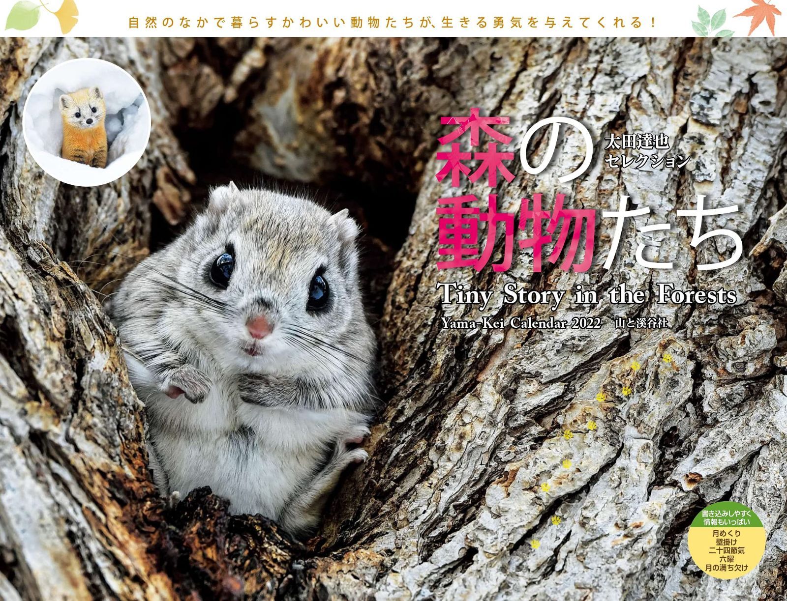 カレンダー2022 太田達也セレクション 森の動物たち Tiny Story in the Forests (月めくり・壁掛け) (ヤマケイカレンダー2022) 6,276円