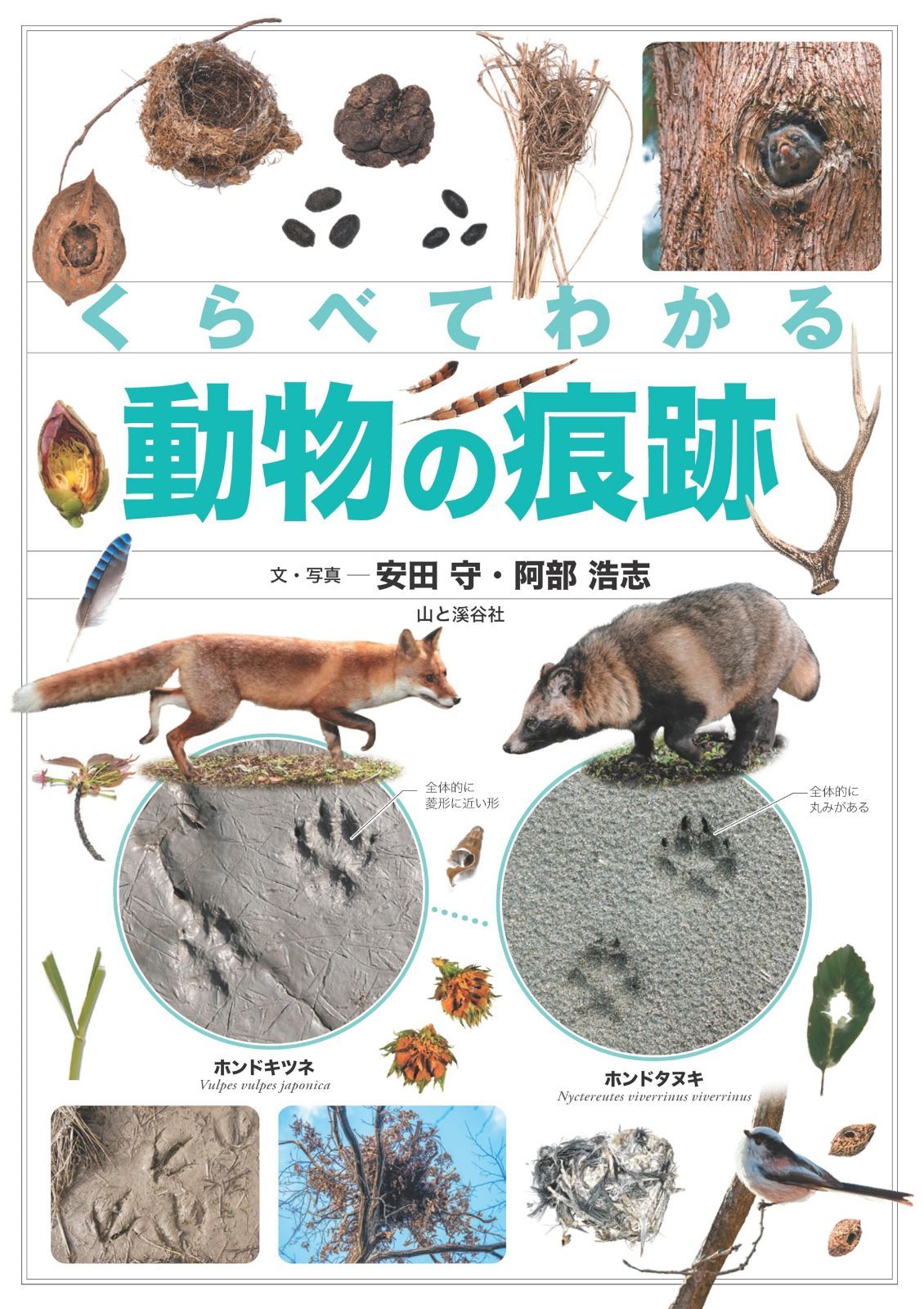 くらべてわかる動物の痕跡 (くらべてわかる図鑑)