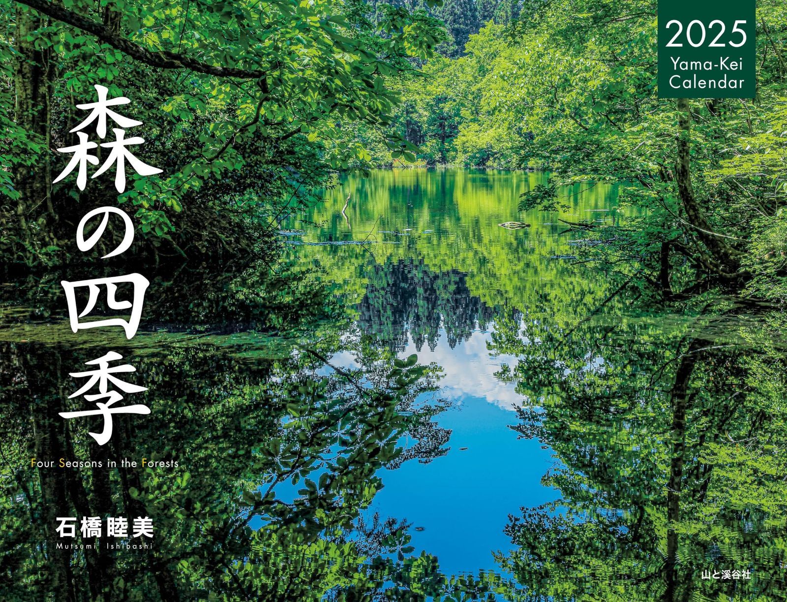 カレンダー2025 森の四季（月めくり/壁掛け） (ヤマケイカレンダー2025)