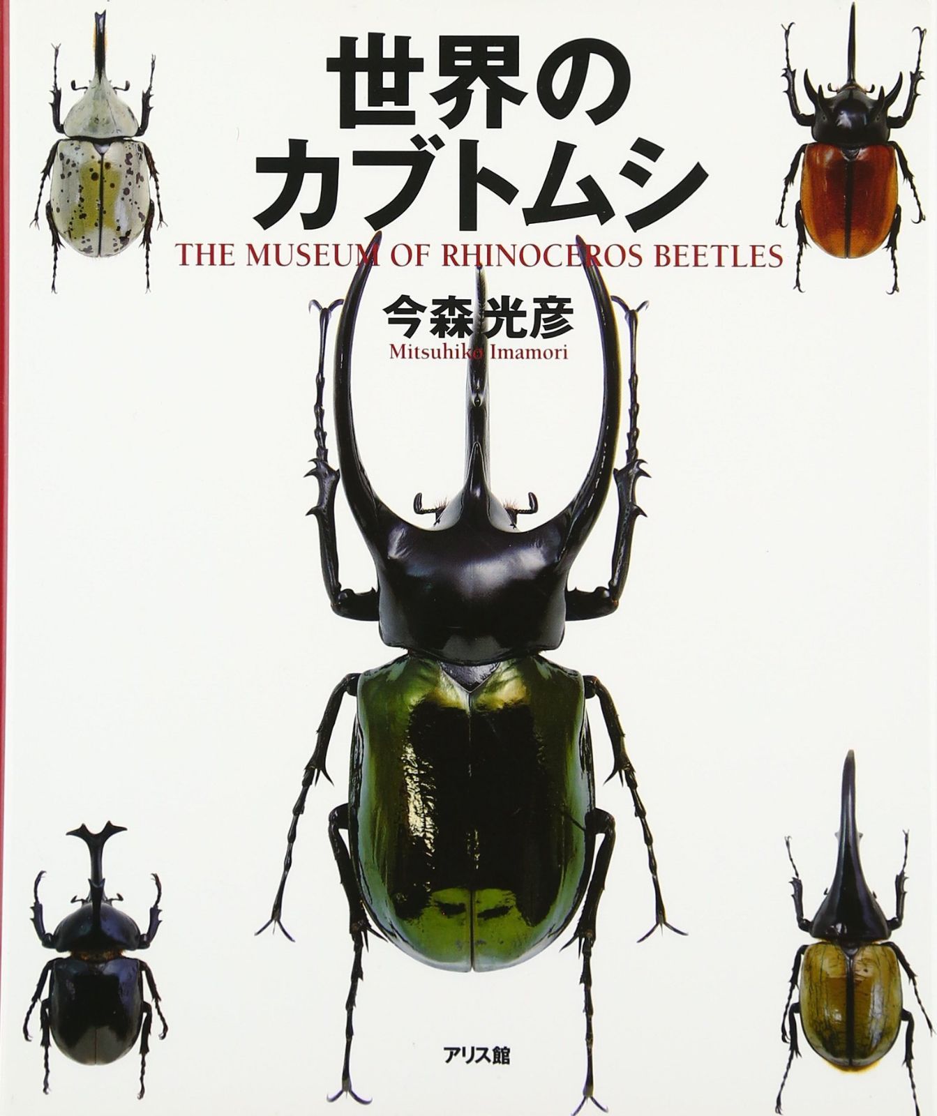 世界のカブトムシ