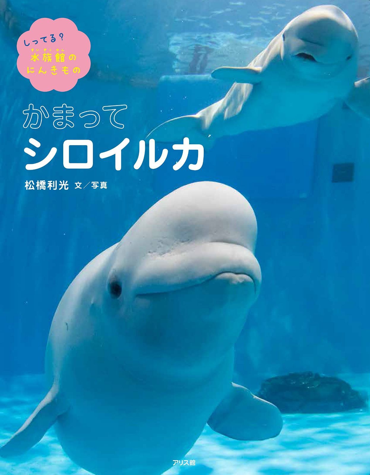 かまってシロイルカ (しってる? 水族館のにんきもの)