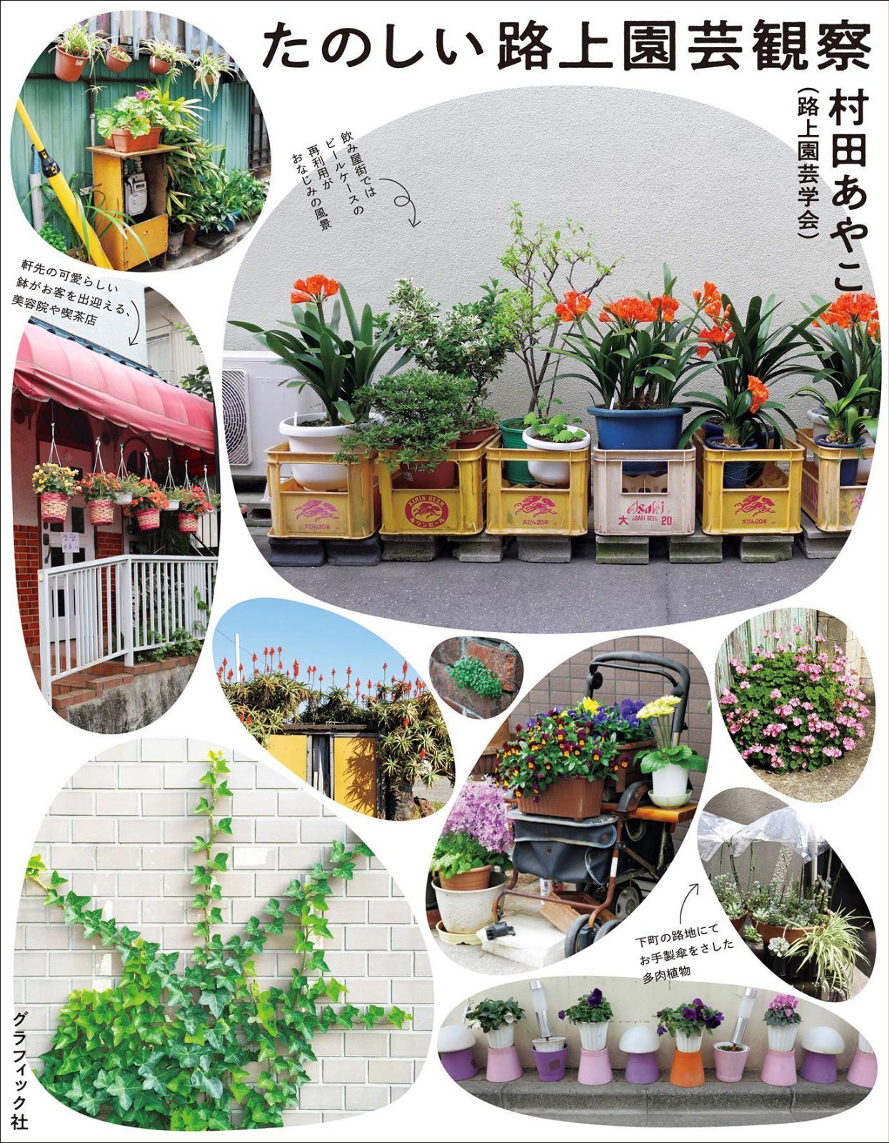 たのしい路上園芸観察
