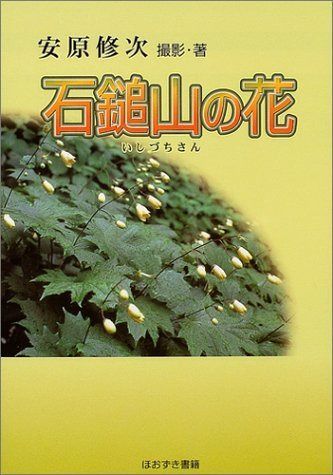 石鎚山の花