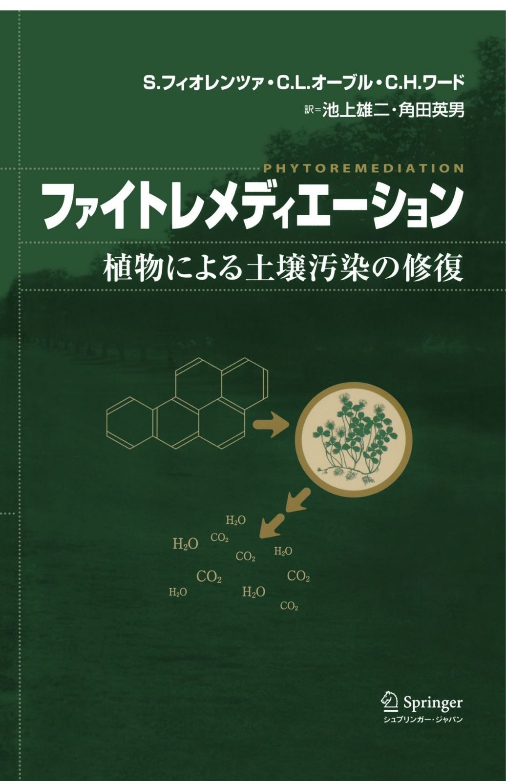 ファイトレメディエーション: 植物による土壌汚染の修復