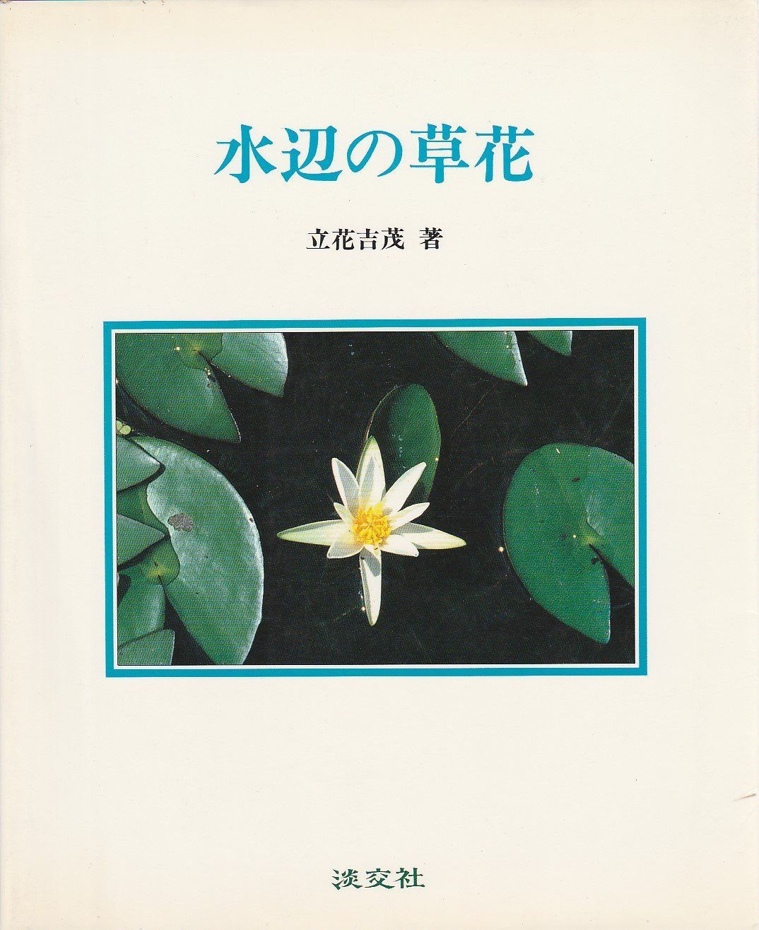 水辺の草花