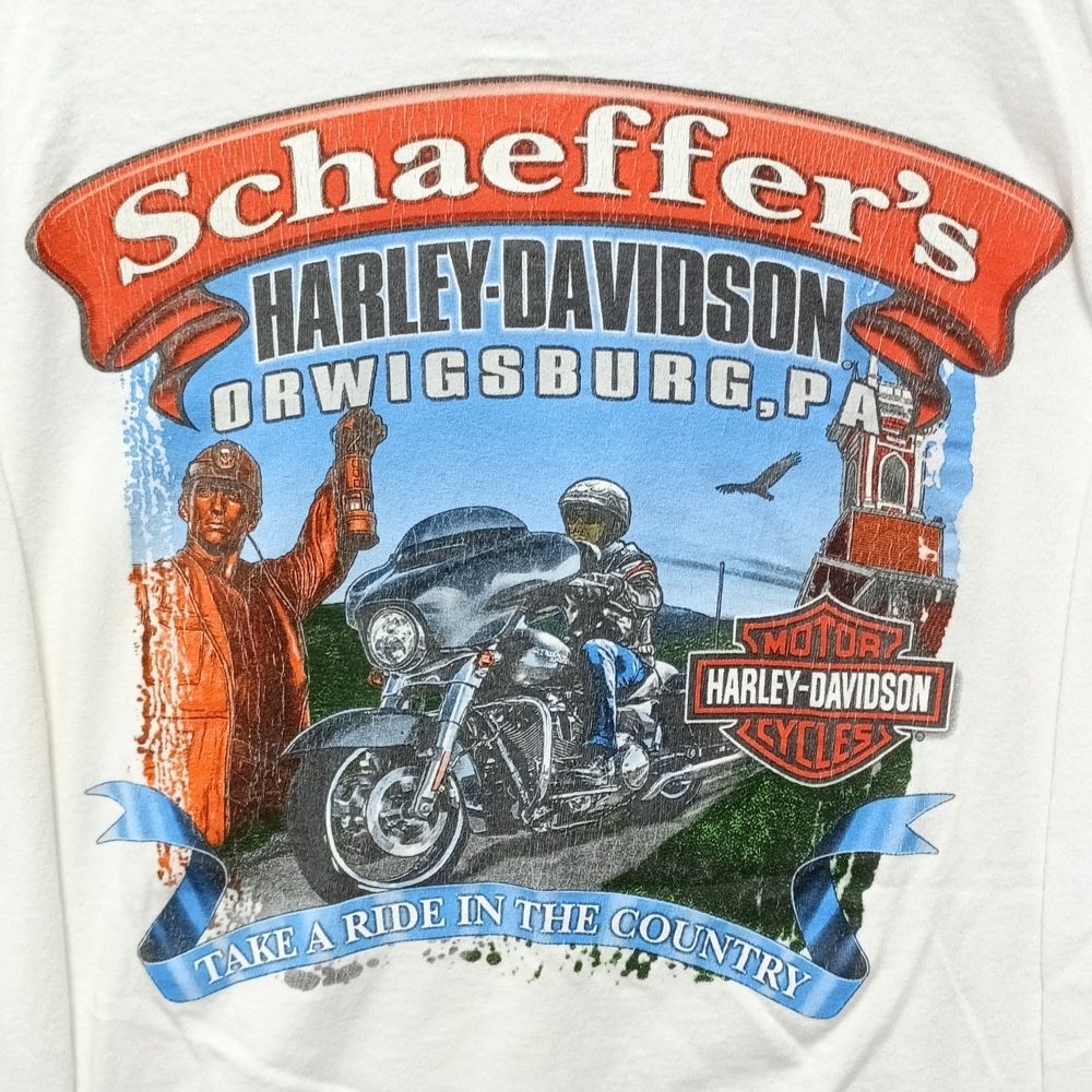 HARLEY DAVIDSON ハーレーダビッドソン グラフィック フレイム 長袖T