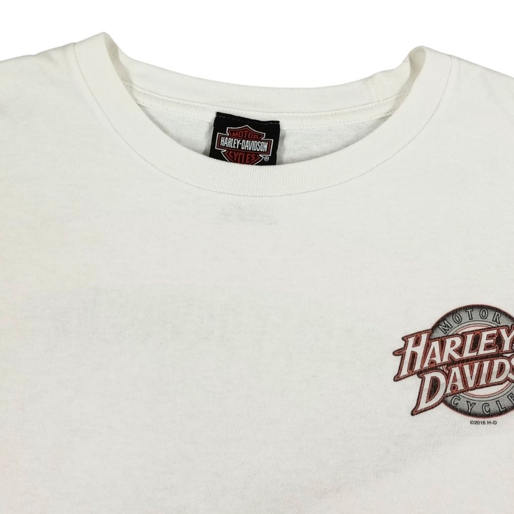 HARLEY DAVIDSON ハーレーダビッドソン グラフィック フレイム 長袖T
