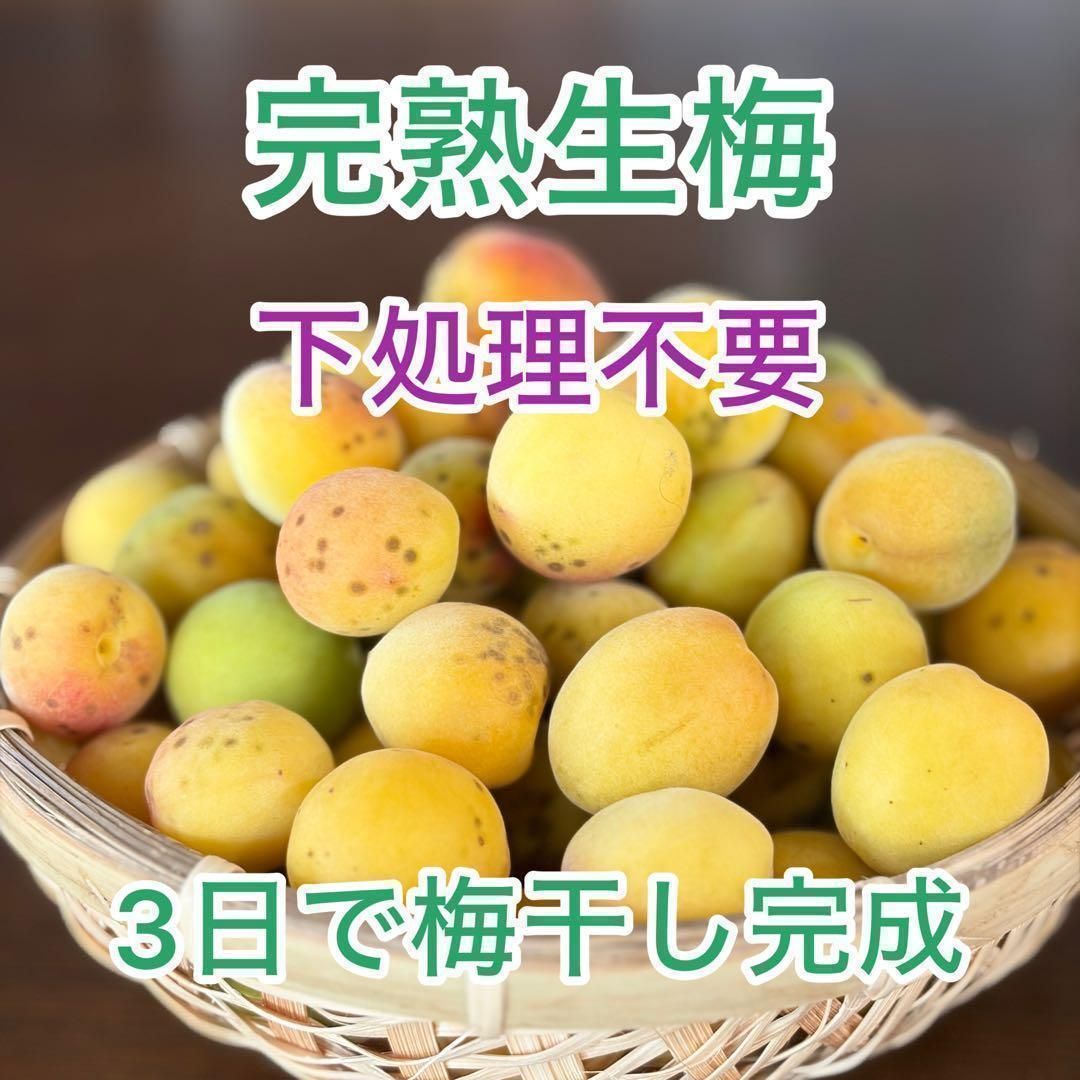 完熟ありが梅　8.5kg　早っ！梅干が最短日3日で完成！　しかも下処理不要　殺菌洗浄済　減塩梅干しも作れるよ！