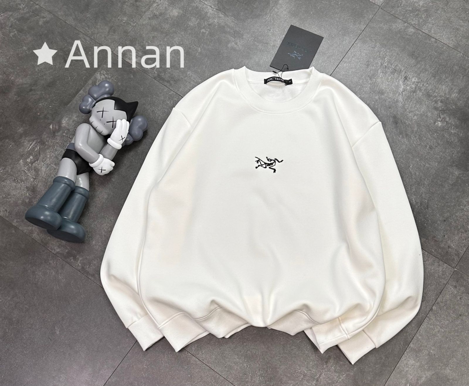 状態良 超新品 タグ付 ARC'TERYX アークテリクス パーカー シンプルフード付きパーカー ユニセックス