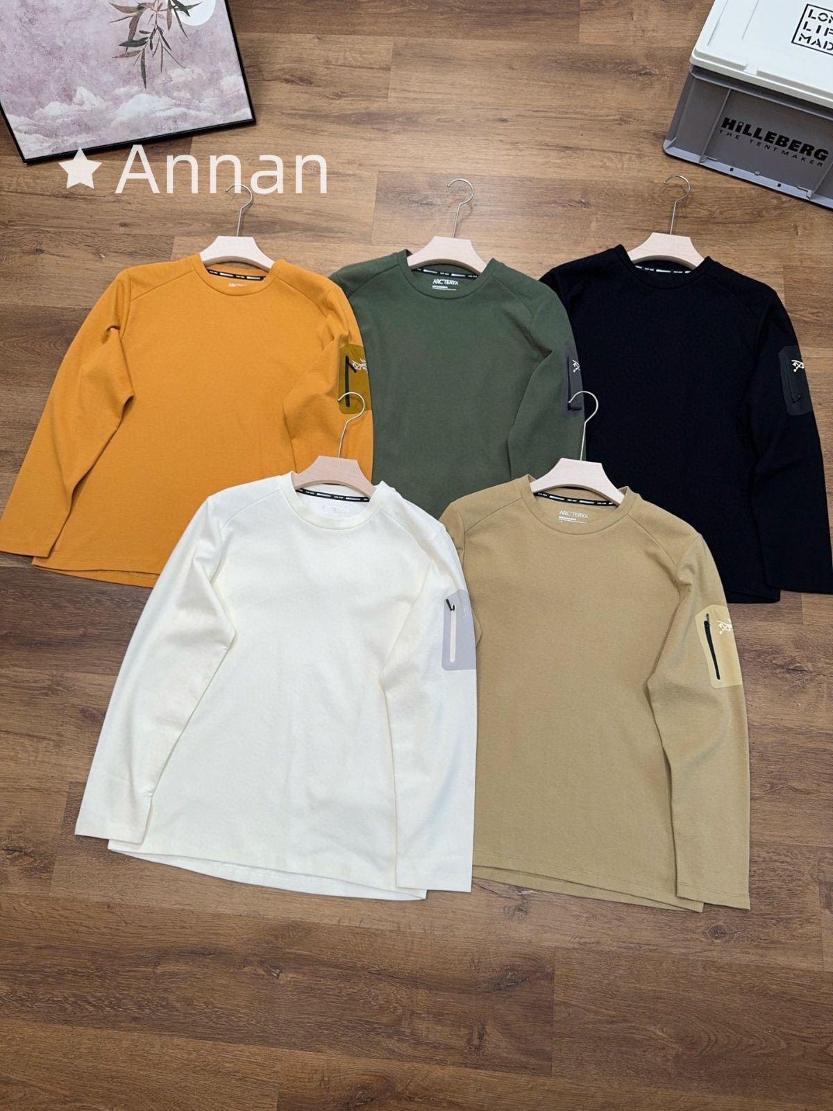 激レア 限定品新型新品 タグ付 ARC'TERYX アークテリクス パーカー シンプルフード付きパーカー ユニセックス