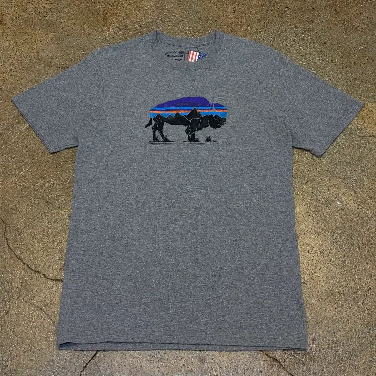USA パタゴニア ヴィンテージ バッファロー 半袖Tシャツ