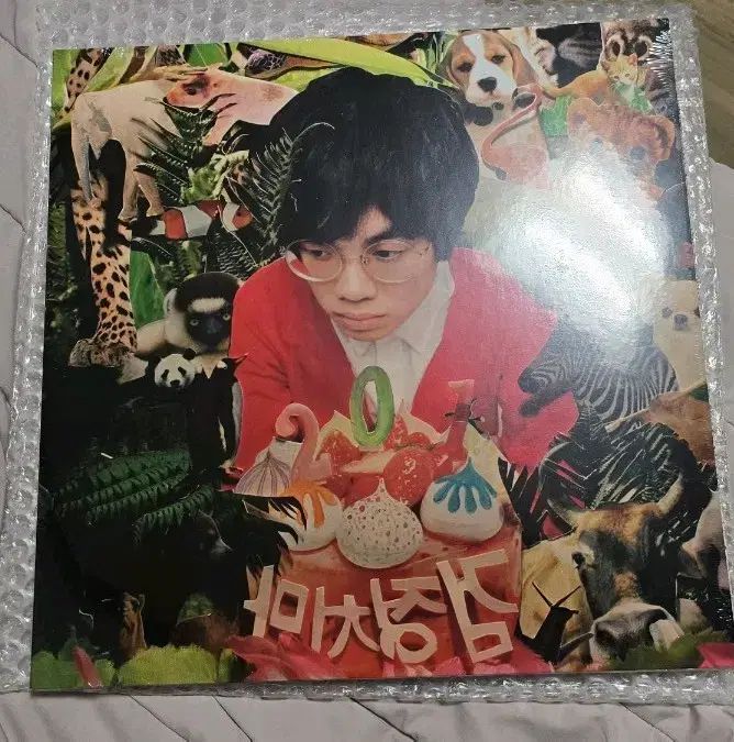 The Black Skirts(コムジョンチマ) 1 家 LP 201 レッドグリッター