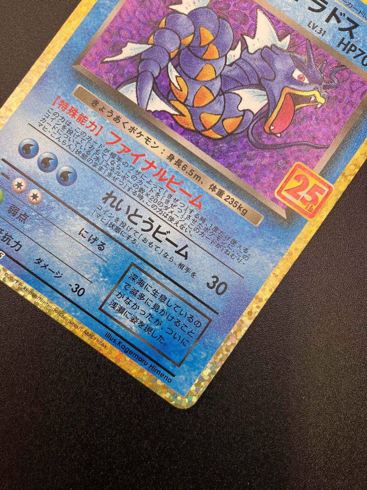 ポケモンカード ポケカOCG わるいギャラドス S8a-P-005 S8a-P プロモ