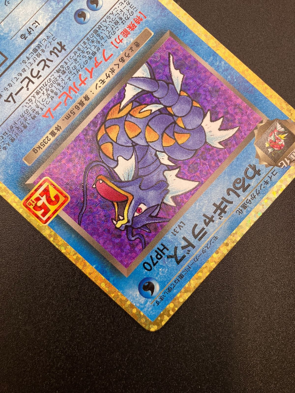 ポケモンカード ポケカOCG わるいギャラドス S8a-P-005 S8a-P プロモ