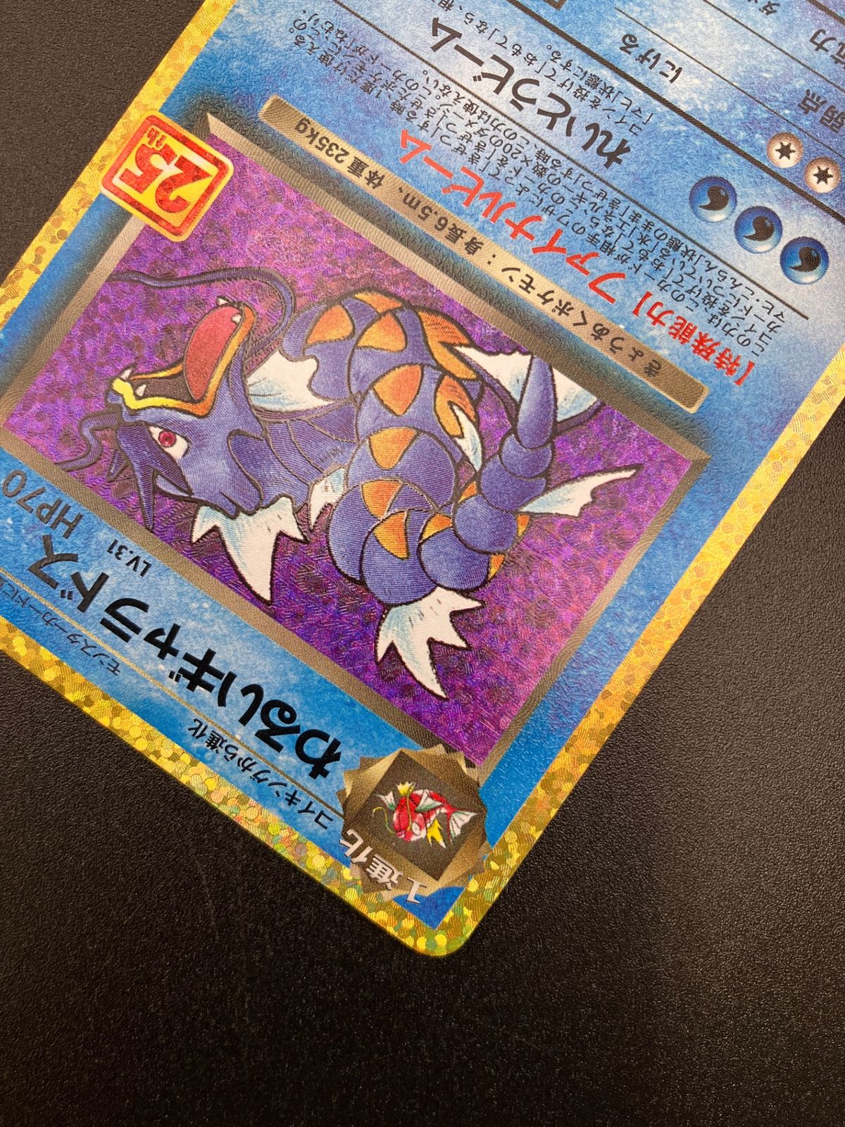ポケモンカード 25th わるいギャラドス 20thギャラドス まとめ売り ポケモンカード ポケカOCG わるいギャラドス S8a-P-005 S8a-P プロモ