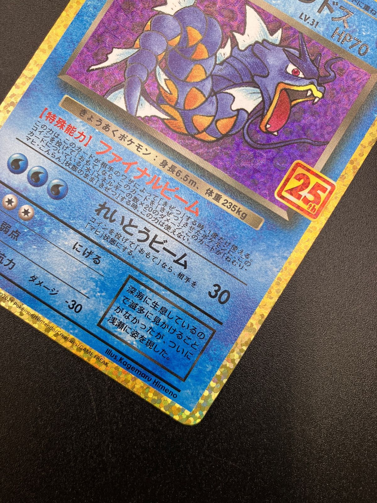 ポケモンカード ポケカOCG わるいギャラドス S8a-P-005 S8a-P プロモ